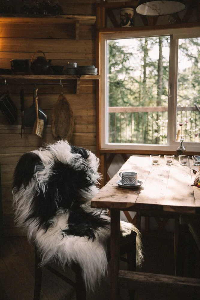 Icelandic Sheepskin | Long Wool | 90 cm - Image 12