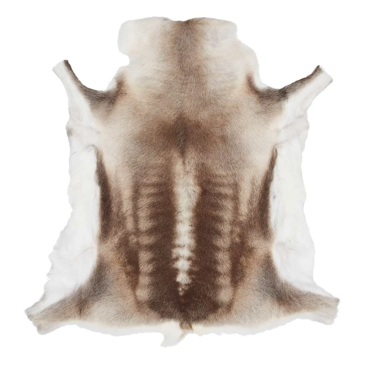 Reindeer Hide | 70x110cm - Image 2