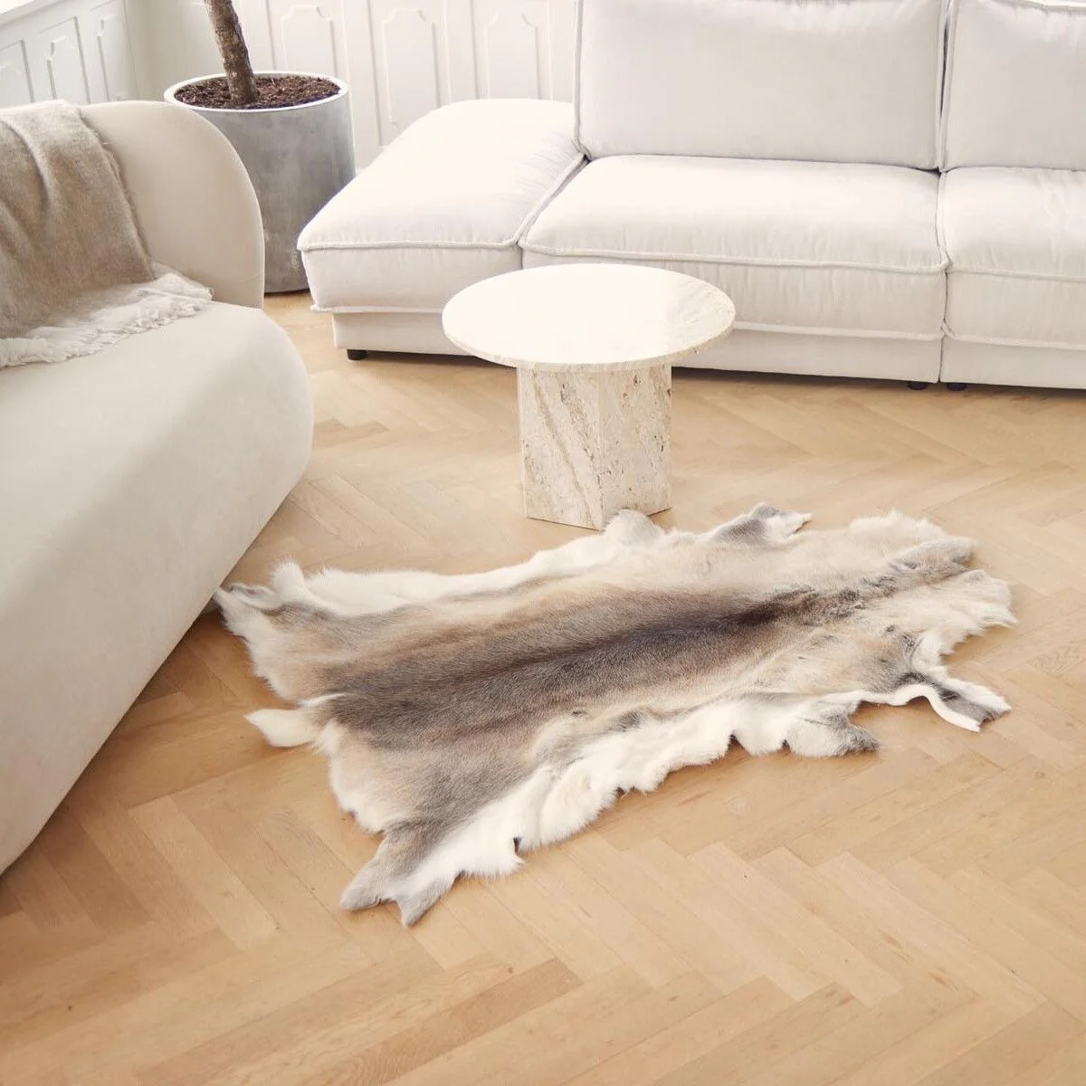 Reindeer Hide | 70x110cm - Image 3