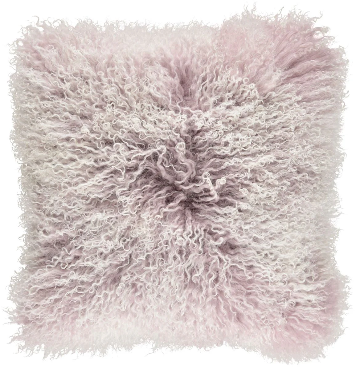Curly Cushion | Mongolian Sheepskin - Image 2