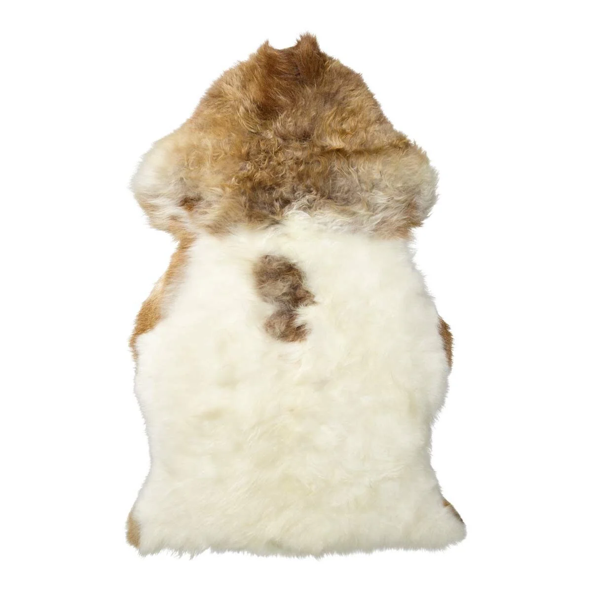 Himalayan Sheepskin | Short Wool | 95 cm - Image 2