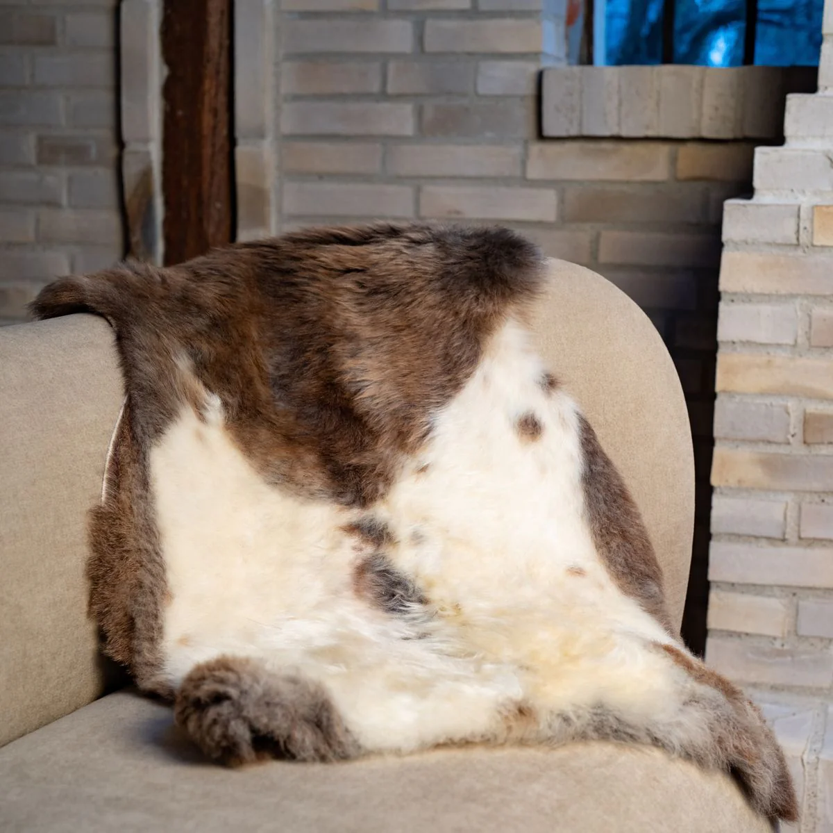 Himalayan Sheepskin | Short Wool | 95 cm - Image 3